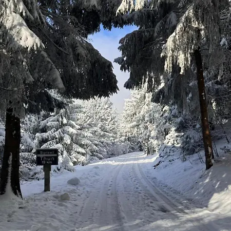 Apartament Cosy In Heritage Protected Swiss Interlaken