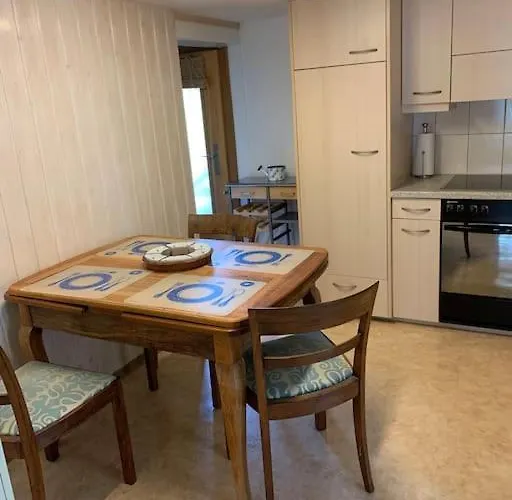 Apartament Cosy In Heritage Protected Swiss *