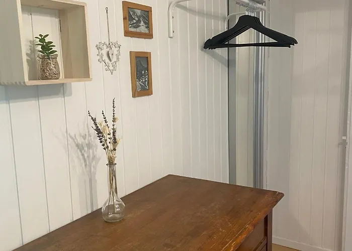 Apartament Cosy In Heritage Protected Swiss *