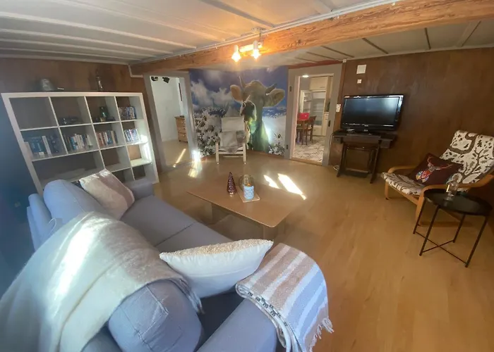 Cosy In Heritage Protected Swiss Apartament *